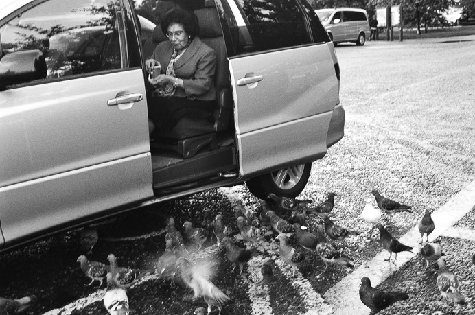 bird lady #hydepark #van #old #lady #feeding #birds