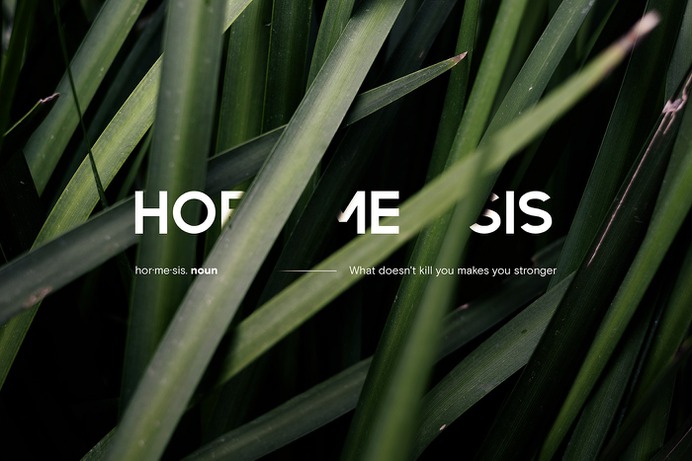 Nicolas Solerieu on Behance