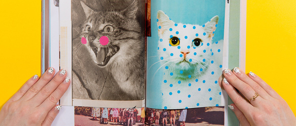 Cat People Magazine #cat #magazine #people