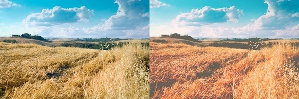How to use Photoshop to mimic those outstanding vintage photo effects popularized by VSCO Cam #post #photo #tutorial #retro #effect #photoshop #vintage #processing #vsco