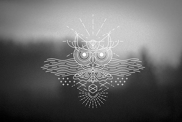 moth and owl tattoo
