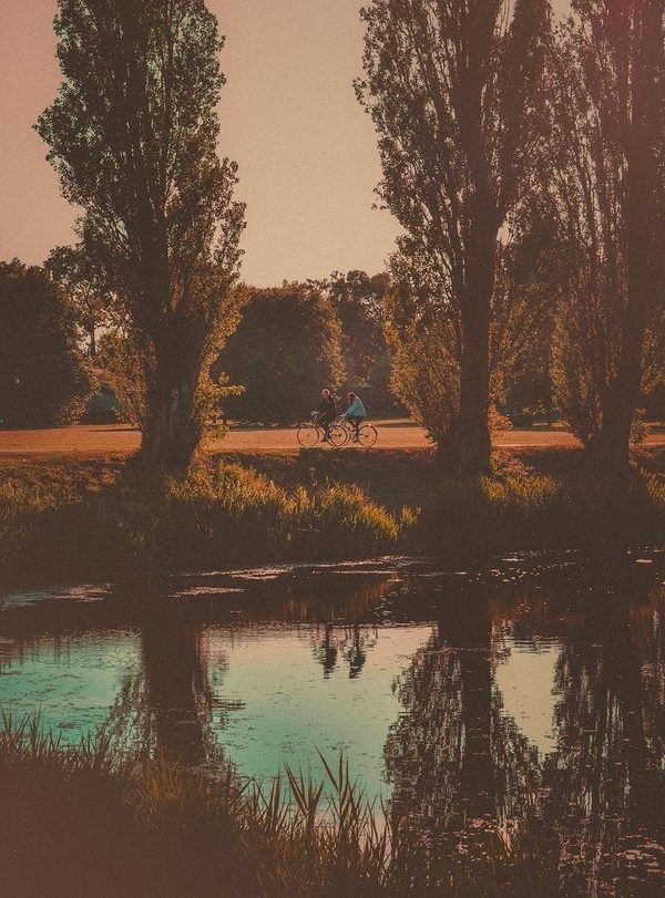 The Bike Tour #limited #sweden #edition #print #park #malm #biking #bike #tour