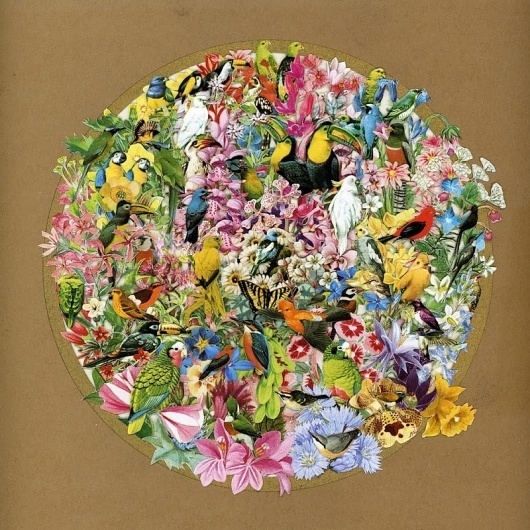 jodeska: Seiko Kato #siko #collage #tropical #kato