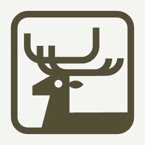 DeerIllustration #mark #branding #sign #symbol #identity #logo