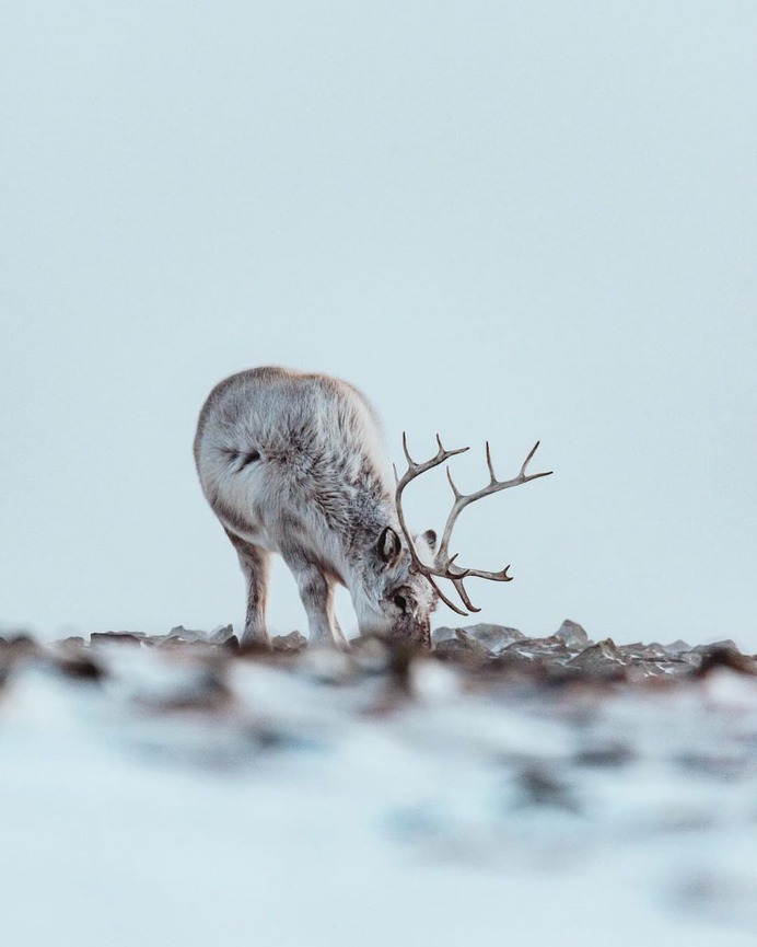 Stunning Adventure Photography in Norway by Ragnhild Utne