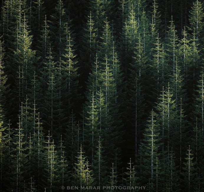 Magical Natural Landscape Photography by Ben Marar