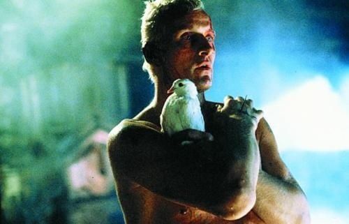 OTAKU GANGSTA #bladerunner