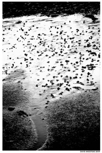 English beach - Society6 #abstract #white #ab #black #photography #beach