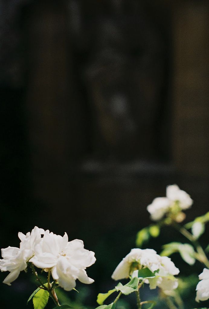 Contrast photo by Mārtiņš Zemlickis (@mzemlickis) on Unsplash