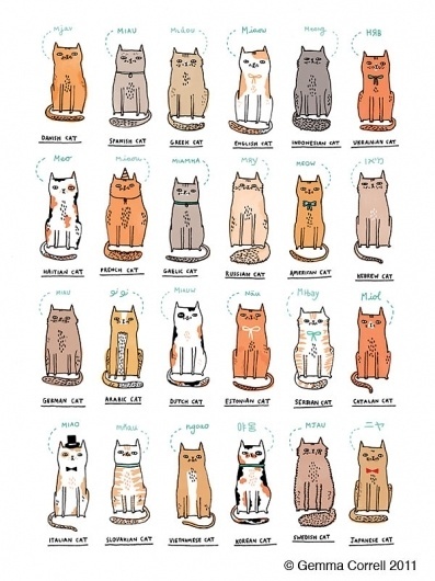 All sizes | World of Kitties | Flickr - Photo Sharing! #illustration #cats #gemma correll