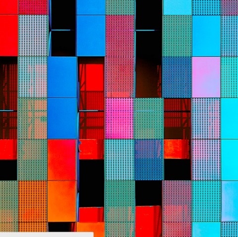 Barbera | PICDIT #photos #photo #color #design #photography #art