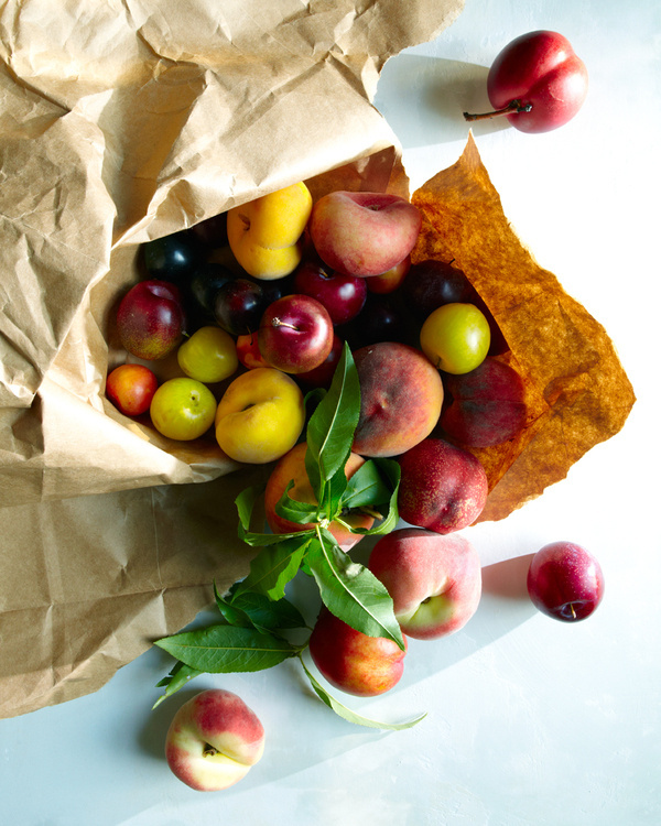 Askr•Archiverr•BIO #food