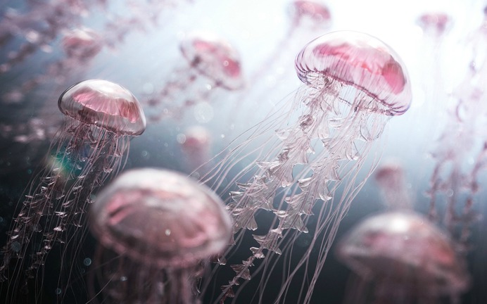 medusas-digitales-1928.jpg (1920×1200)