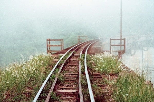 Photography by Tuane Eggers #inspration #photography #art
