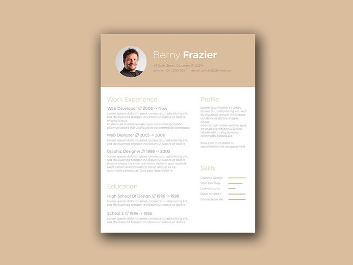 Free Brown Themed Resume Template