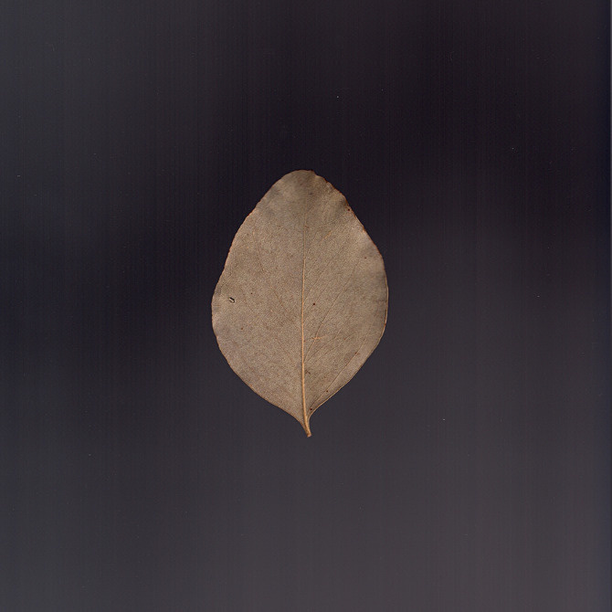 found_forms - Nil Santana #photo #scan