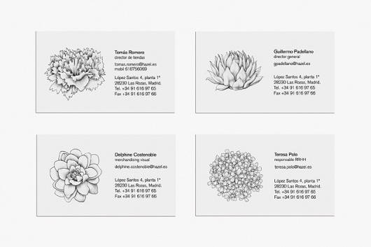 Marina Company #hazel #spain #business #branding #card #illustration #marina #barcelona #company