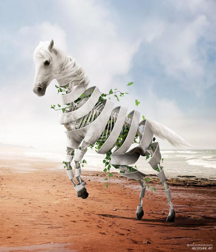 Dreamlike Animals: Mischievous Photo Manipulations by Ade Maolana