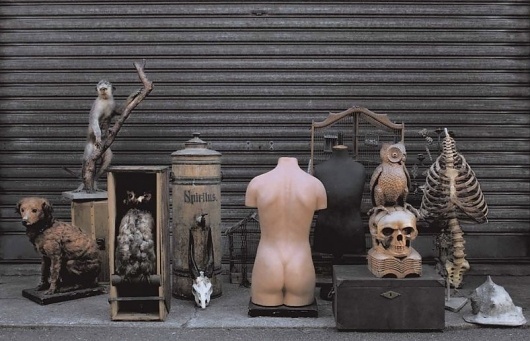 Google Image Result for http://image3.nw.ctscdn.com/prodthumb/898/517/36bda743-963c-40a2-8c30-2699523535a7.jpg #paris #market #flea