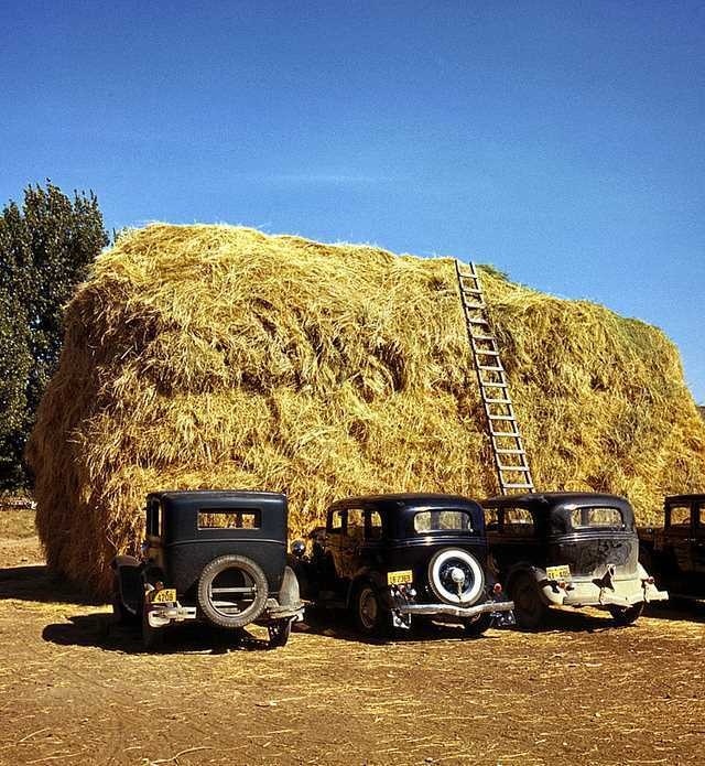 Vintage Photography by Russell Lee #inspiration #photography #vintage