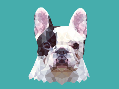 TRENCH #triangulation #triangles #dog