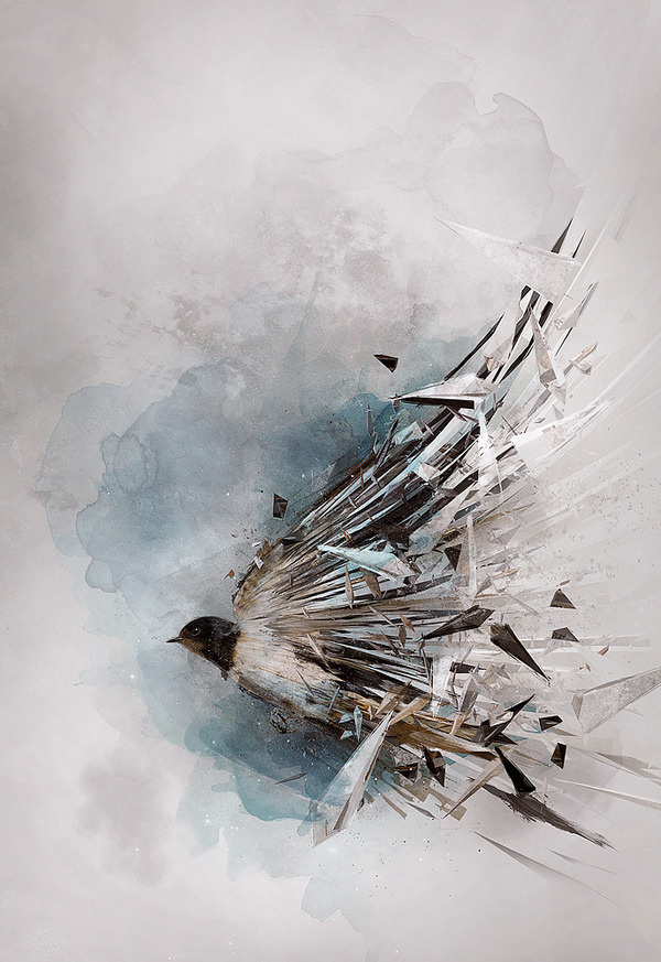 Personal work by Theo Aartsma #digital #illustration #art #bird