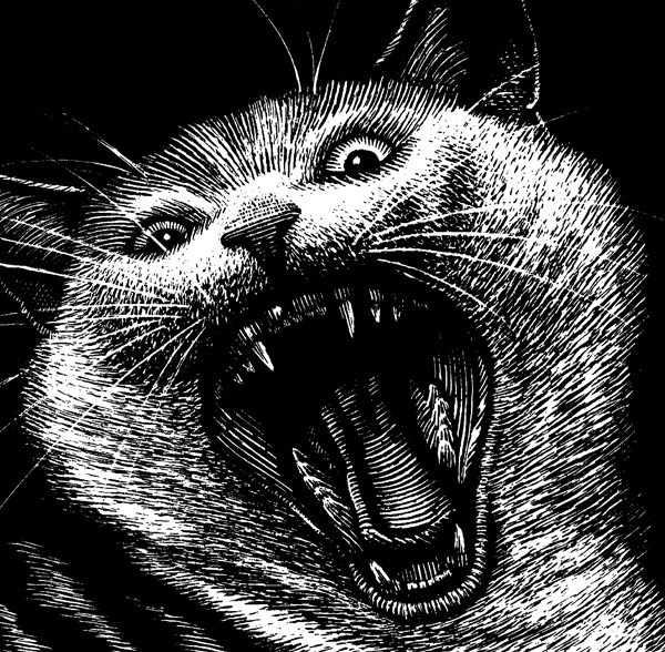 Black and White on the Behance Network #illustration #awesome