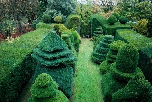 Growth. - Russian Carpet: Daily inspiration, trends, mood board. Architecture, art, design, fashion, photography. #inspiration #growth #board #russian #photography #carpet #mood #garden #trees