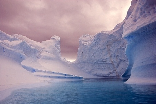 Tumblr #icebergs #winter