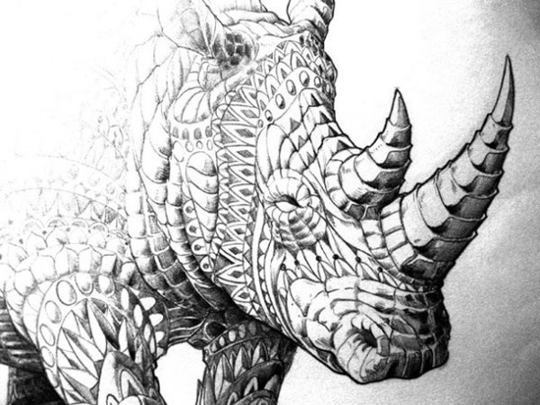Decorated animals by http://www.bioworkz.com/ #illustration