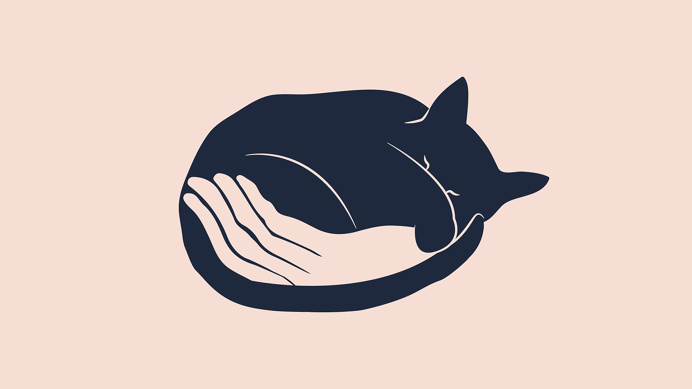 Sunday on Behance