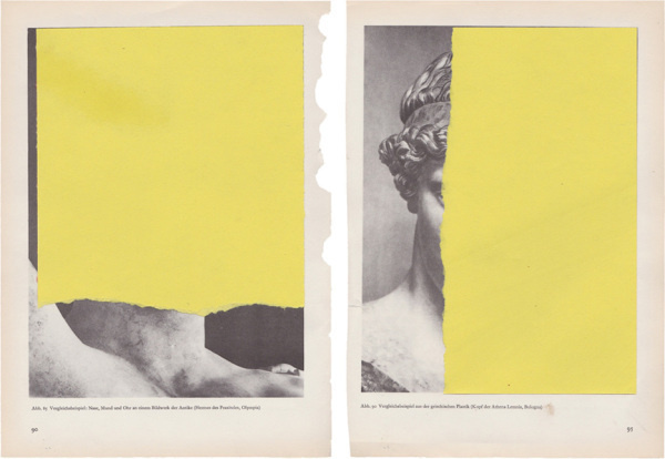 Jorge Chamorro | PICDIT