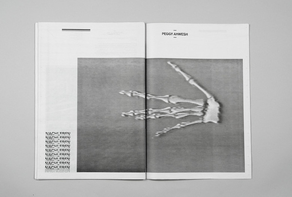 Nachleben publication #pubdesign #projectproject