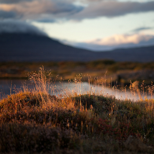 { i n s p i r a r e } #beauty #nature #photography #landscape