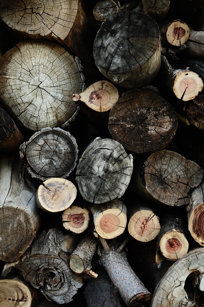 THE BROWN WORKSHOP #wood #photo #texture