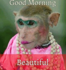 476+ Good Morning images, wishes, greetings, poems, gifs & more!