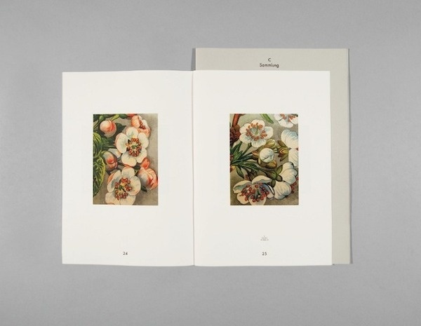 Esther Rieser: Schulwandbild Thisispaper Magazine #editorial