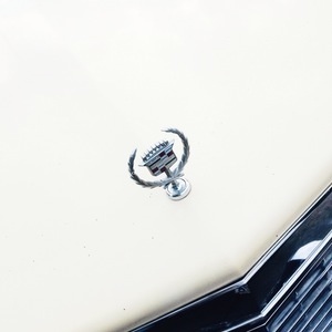 Cadillac | Sallie Harrison