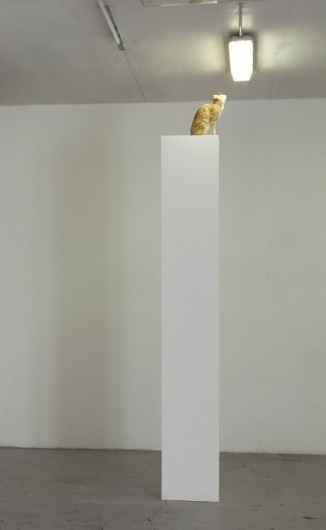 "Solarkatze" Michael Sailstorfer for Galleria ZERO | Abitare En #cat #podium #flourescent