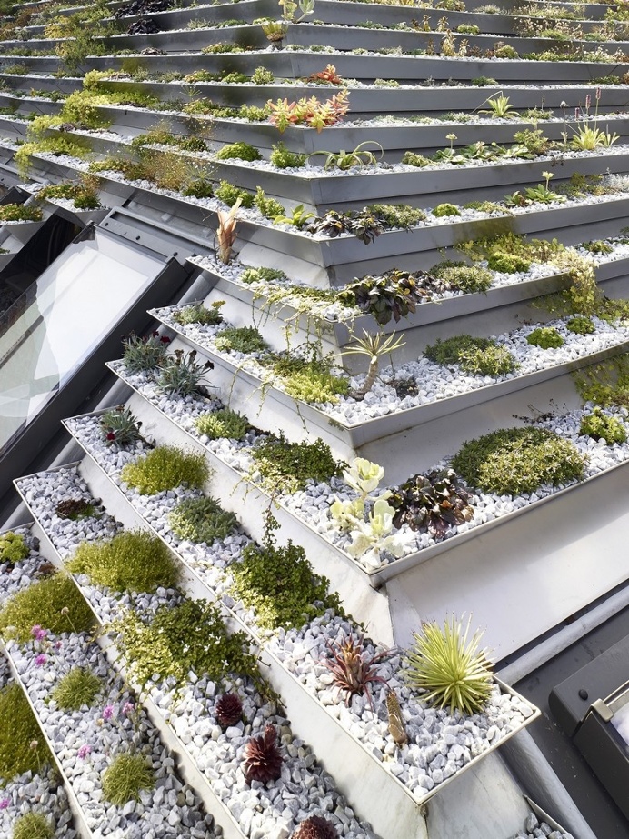 Garden House Under a 'Hanging-Basket' Roof / Hayhurst