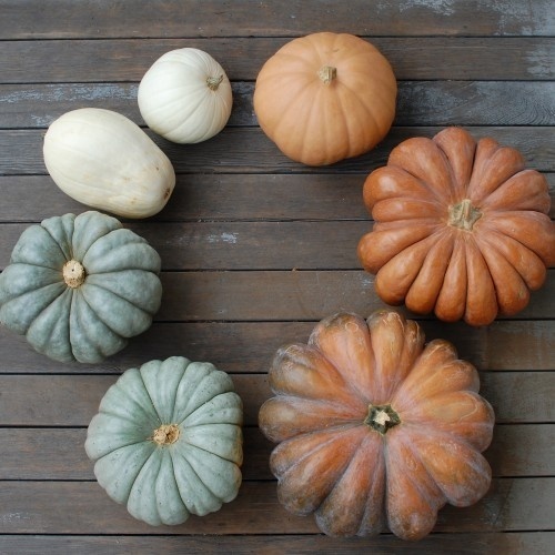 DSC_1320 #interior #pumpkin #design #deco #decoration