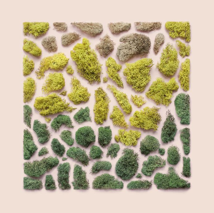Natural Materials Organized into Precise Geometric Shapes by Kristen Meyer | Colossal