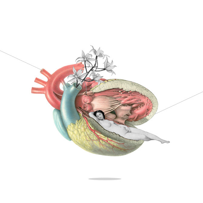 kayankwok #design #sleep #anatomy #illustration #poster #art #surreal #collage #rest