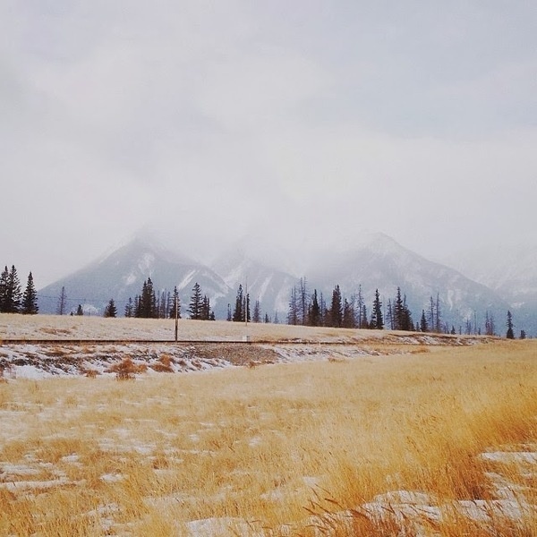 Instagram of Alex Strohl #inspiration #photography #iphoneography