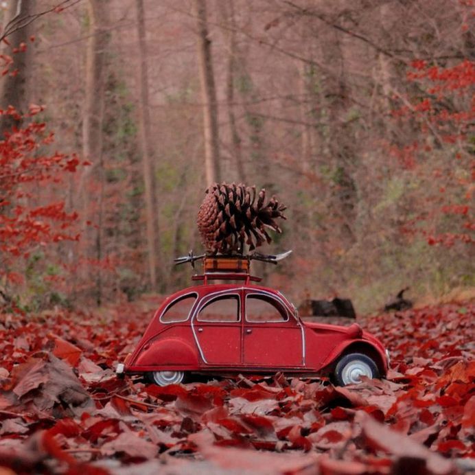 Amazing Miniature Scenes With Toy Cars by Nihan Tezer