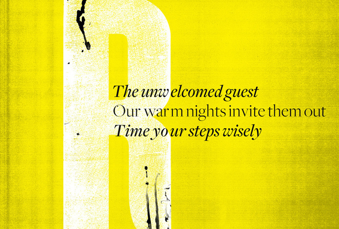 editorial design, print