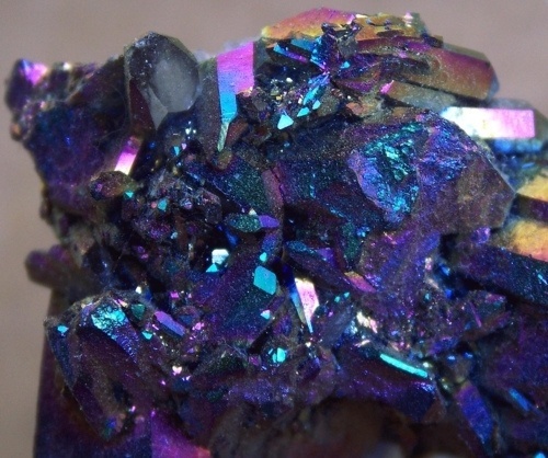 leit að lífi #diamond