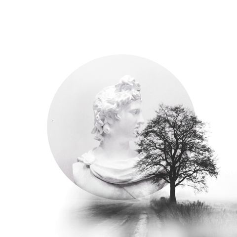 #black and white#tree#art