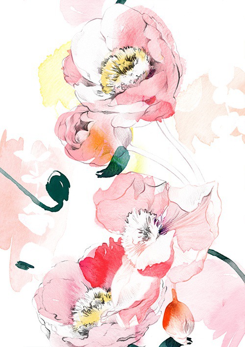 Flowers on Behance