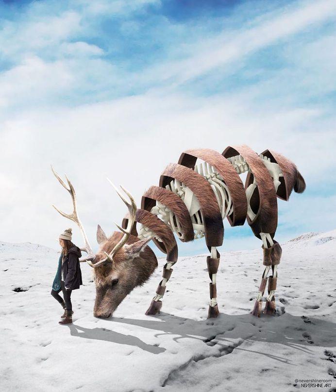 Dreamlike Animals: Mischievous Photo Manipulations by Ade Maolana